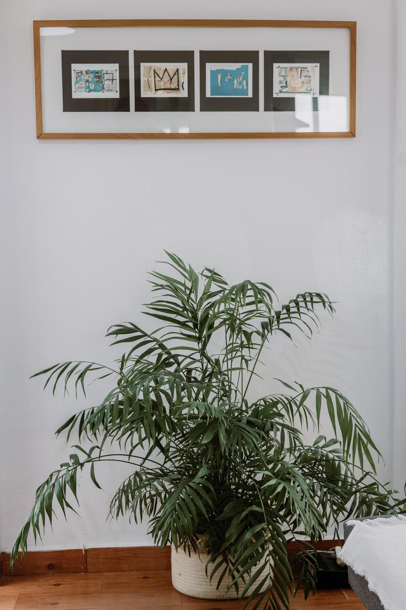 Spacious Apartamento Sevilha